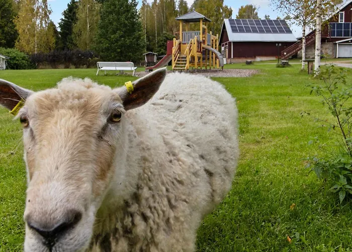 Vidnaes 4 By Interhome Σπίτι διακοπών *